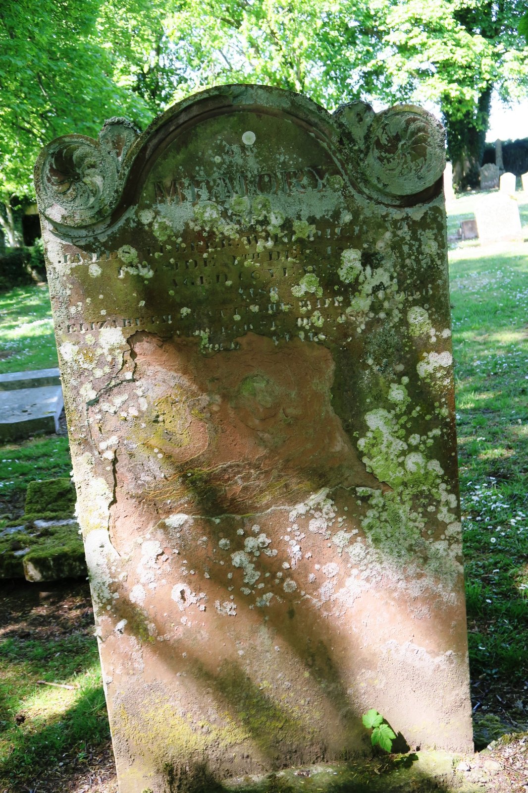 James telfer 1796 1863 grave
