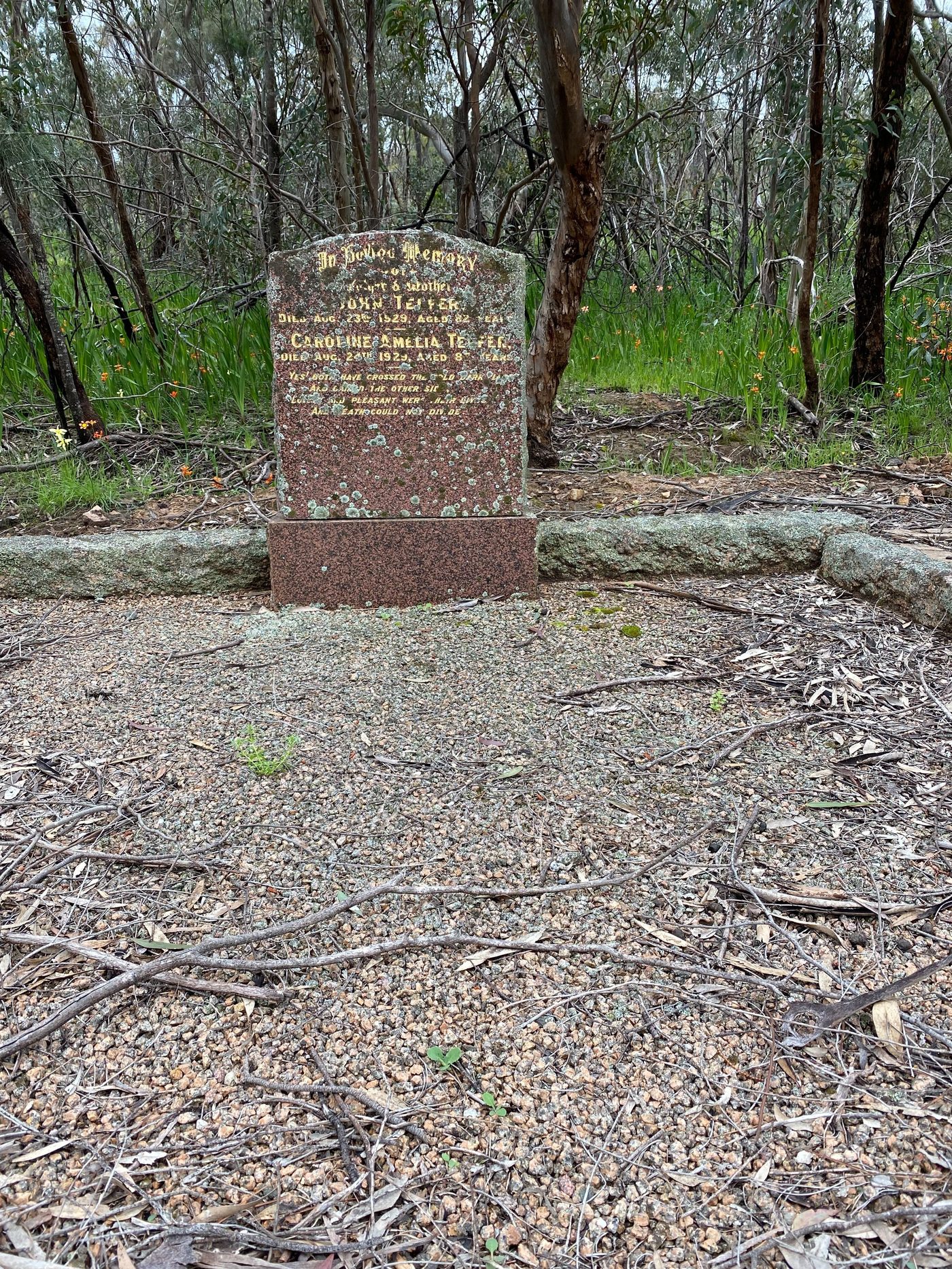 A joint headstone over the grave of John Telfer (1847–1929) and Caroline Amelia Telfer (née Masters, 1842–1929), Clare General Cemetery, South Australia. Reddish-brown granite, arched top, gold-filled lettering, within a rough-hewn stone kerb. Bushland setting. Photographed 5 October 2022 by Find A Grave contributor Michelle Bruce; image sourced from Find A Grave memorial 200328650 (https://www.findagrave.com/memorial/200328650/john-telfer). Metadata stripped before filing.