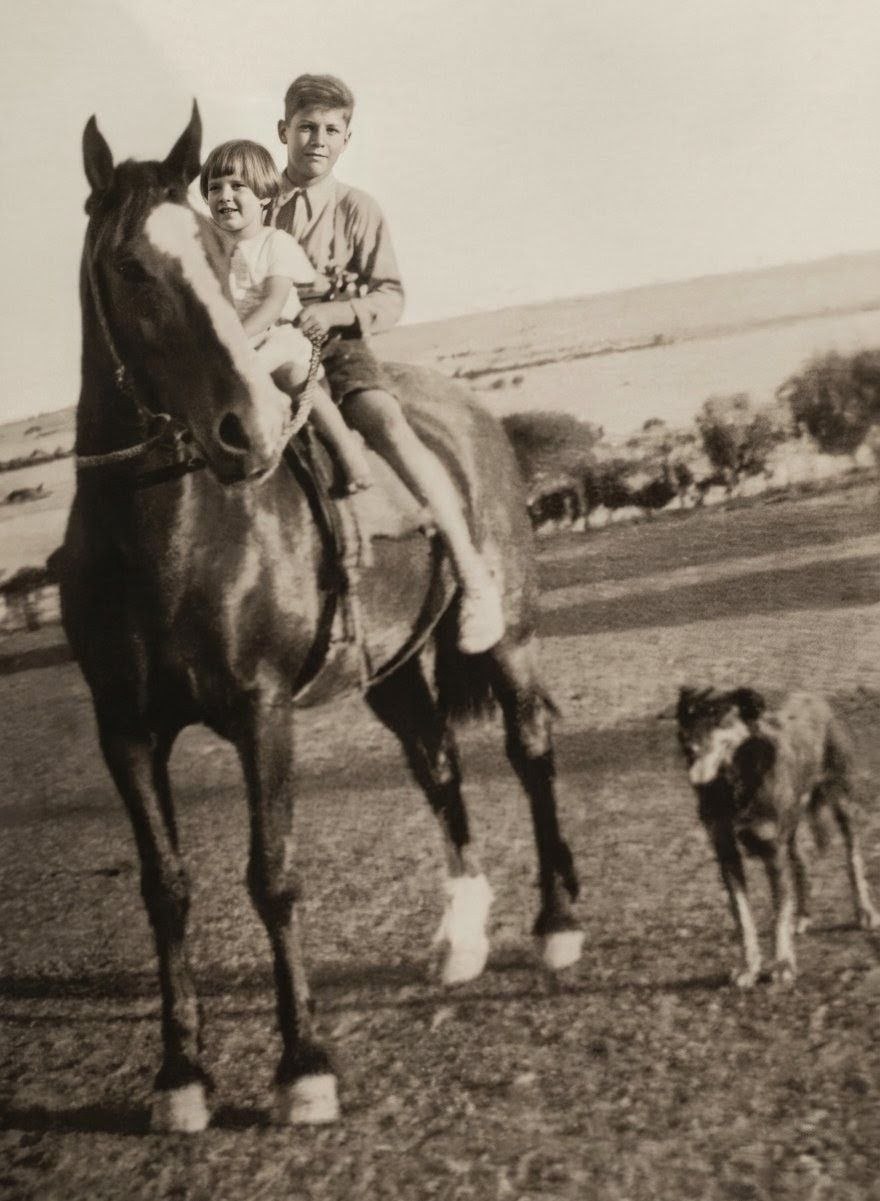 Murray ruth telfer duchess horse 1936